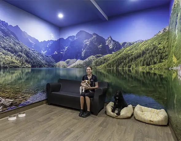 Canada Destination Suite at Pet Resorts Australia Eumundi