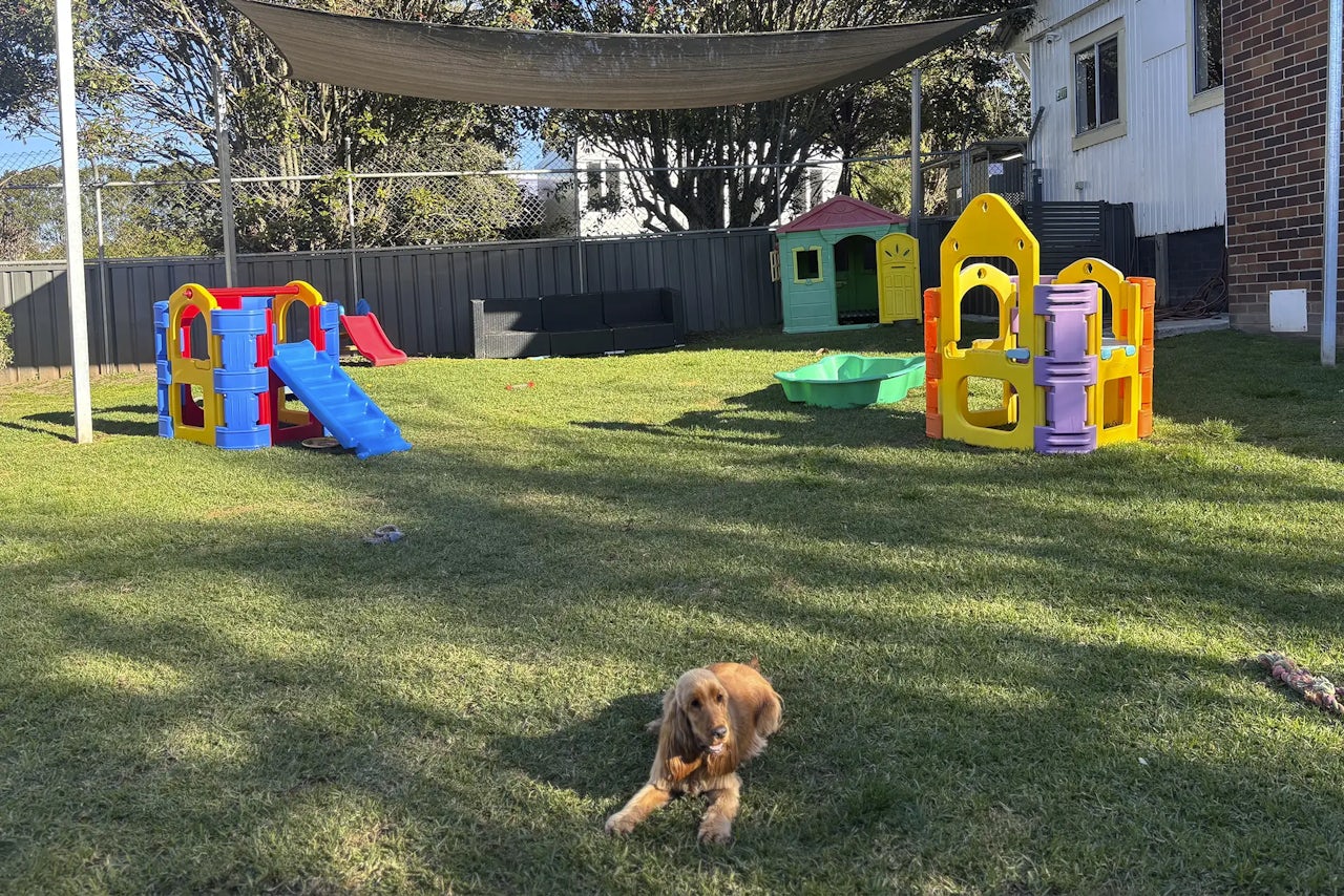 Where Happy Dogs Spend Their Day