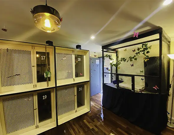 VIP Cat Room at Sydney Petlands