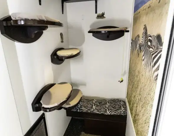 Destination Africa Suite – Luxury Safari Cat Room