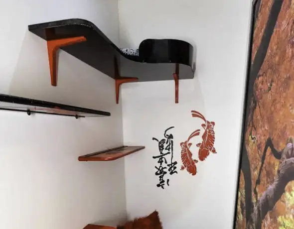Destination Orient Suite – Asian-Inspired Cat Wall Setup