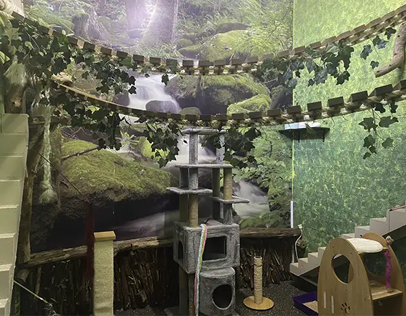 Jungle Gym wide Divine Creatures