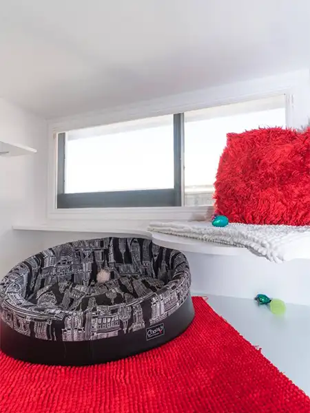 New York-style cat boarding room featuring bold red decor, plush bedding, cityscape bed, and interactive toys at Divine Creatures Willoughby.