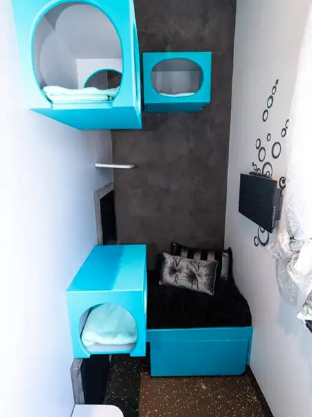 Stylish and modern Ritz suite featuring bold blue furnishings, cube hideaways, flat screen TV, and luxury bedding for feline guests.