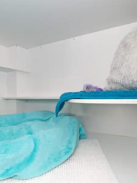 Cosy interior of the Divine Creatures Cattery Maxi Condo at Willoughby featuring plush blue bedding and a soft elevated platform for cats.