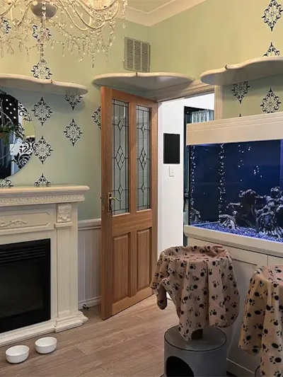 The premium penthouse suite for cats at Divine Creatures, featuring fish tank, viewing platform, fireplace and chandelier