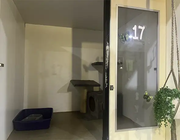 Standard Cat Enclosure
