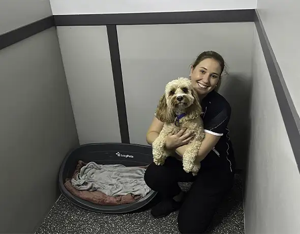 Friendly Staff and Cosy Companions in Dog Suite