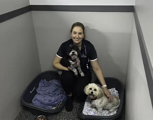 Friendly Staff and Cosy Companions in Dog Suite