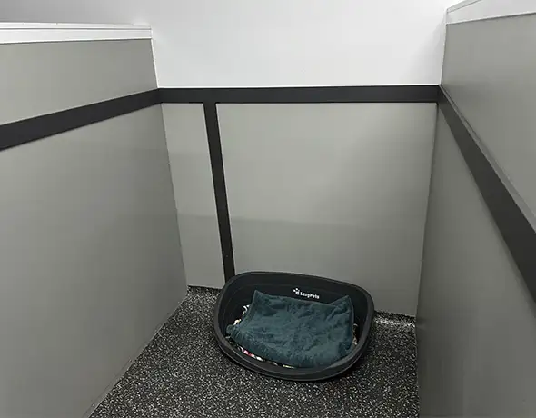 Private Dog Kennel with Comfortable Bedding