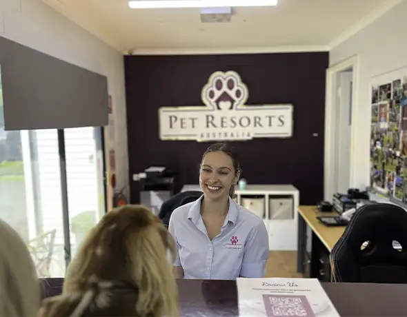 Pet Resorts Australia Dural Reception