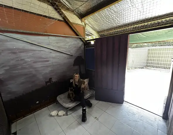 Private Presidential Dog Suite with Themed Mural