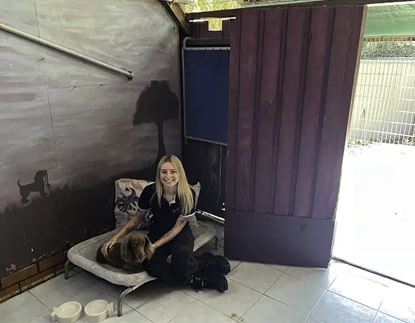 Spacious Presidential Dog Enclosure with Carer