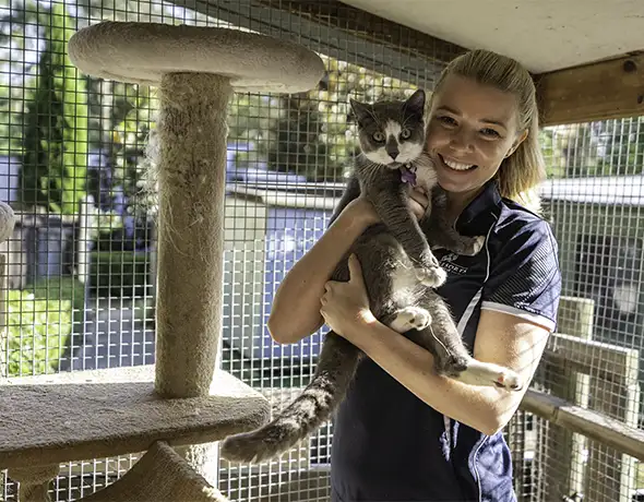Personalised Care in Deluxe Cat Accommodation