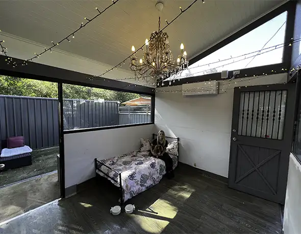 Cosy Stay in Premium Dog Suite with Carer