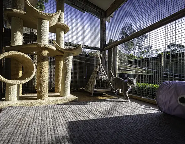 Outdoor verandah Cat Playground with Climbing Structures