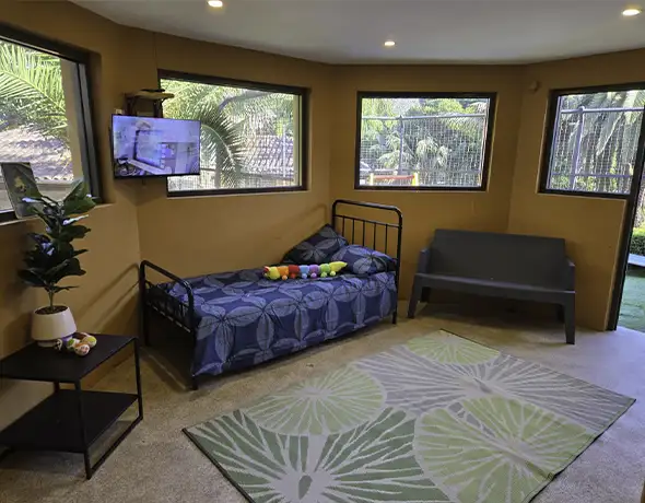 Luxury Dog Suite with TV