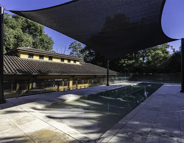 Shaded Dog Pool