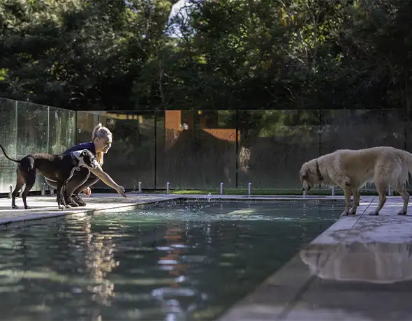 Pet Resorts Australia Terrigal Pool