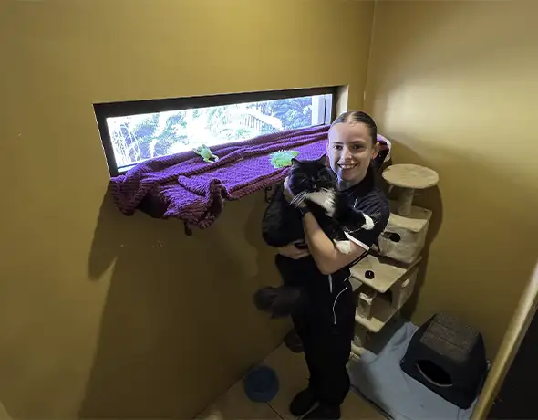 Cuddles in Cat Suite