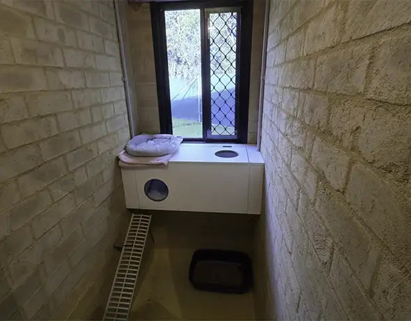 A cat guest suite at Pet Resorts Australia Southern Highlands