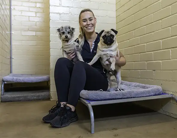 Staff Cuddling Dogs in Indoor Suite