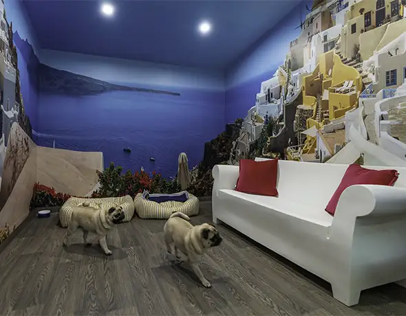 Dog Lounge with Santorini-Themed Decor