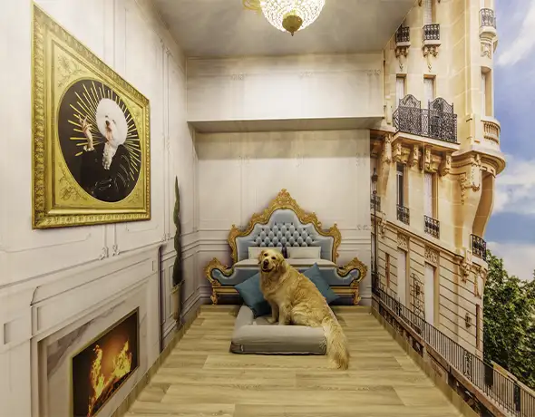 Pet Resorts Australia Port Melbourne Hotels of the World Paris Room