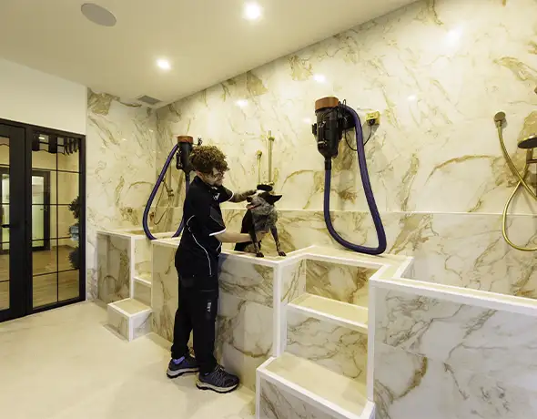 Modern grooming and spa room for dogs at Pet Resorts Australia Port Melbourne