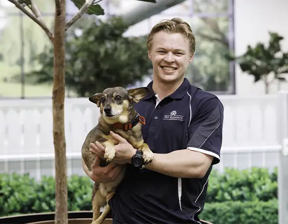 Pet Resorts Australia Port Melbourne Doggy Daycare