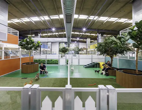 Pet Resorts Australia Port Melbourne dog play yard