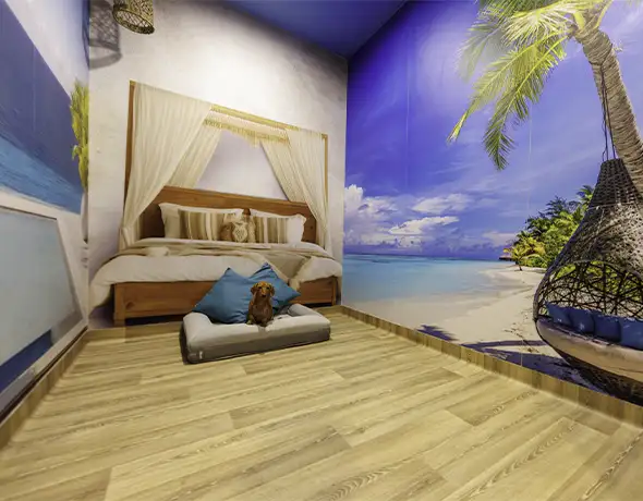 Pet Resorts Australia Port Melbourne dog hotels of the world maldives