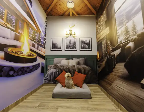 Pet Resorts Australia Port Melbourne dog hotels of the world aspen