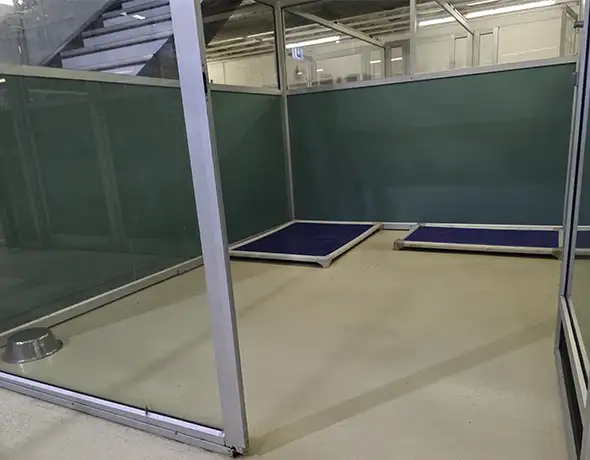 Pet Resorts Australia Port Melbourne dog Resort Room