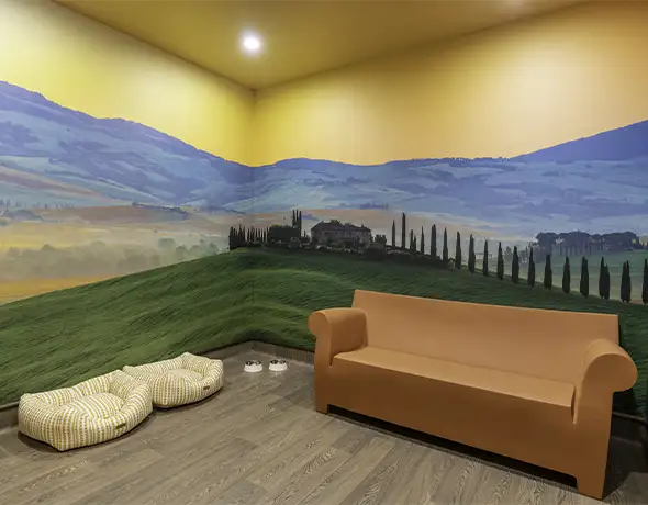 Tuscany Destination Suite at Pet Resorts Australia Eumundi