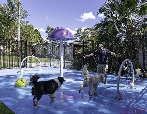 Water Play Fun at Eumundi Splash Park