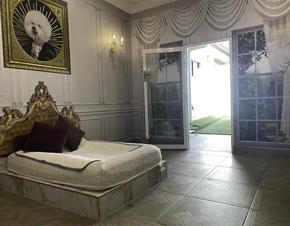 Regal Dog Royal Suite at Pet Resorts Australia Eumundi