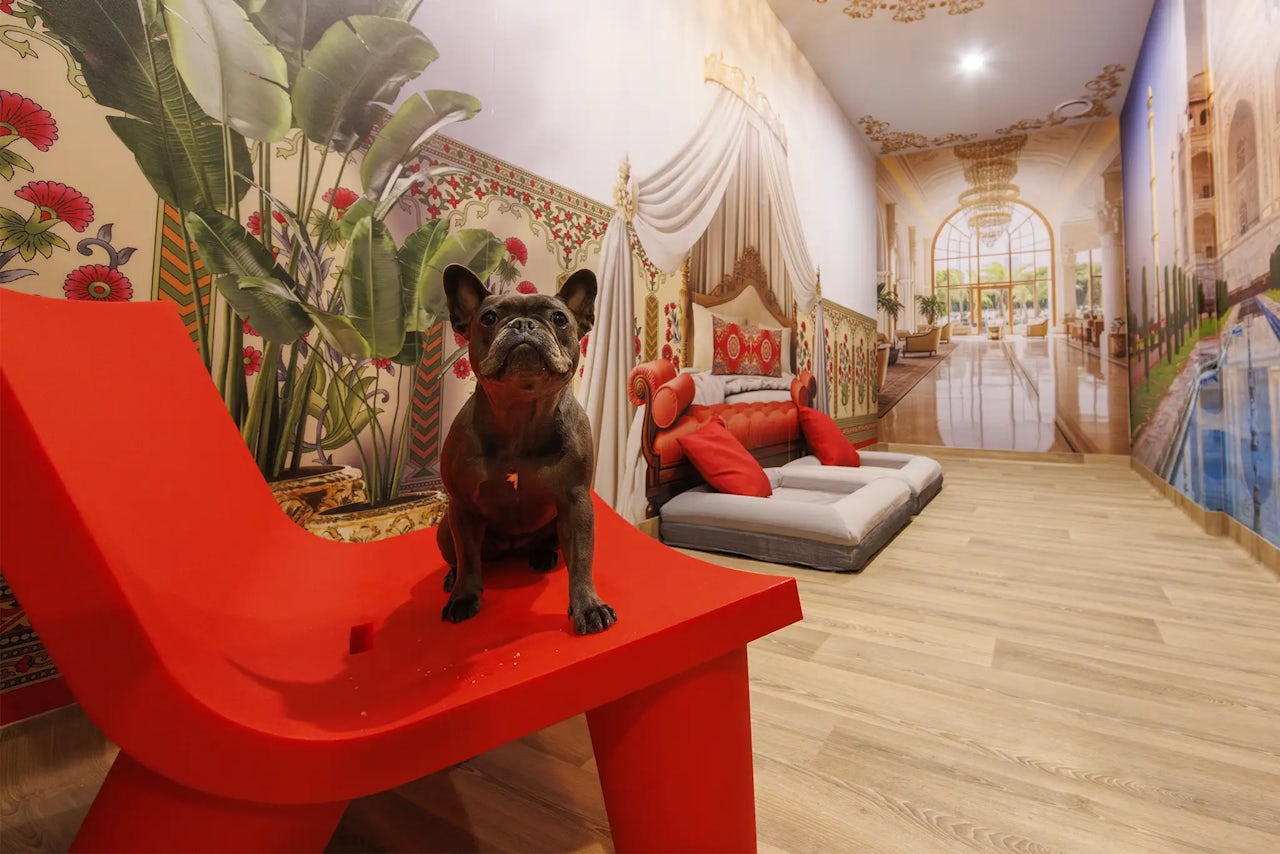 Pet Resorts Australia Port Melbourne