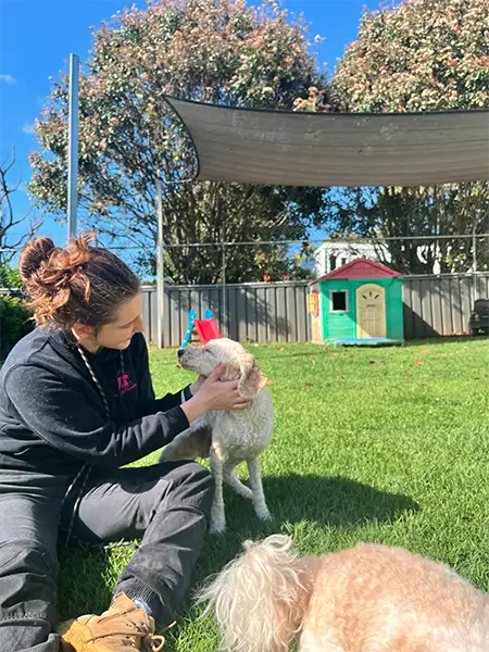Pet nanny at Sydney Petlands dog boarding and doggy daycare giving attention, enrichment and pats to a guest dog.