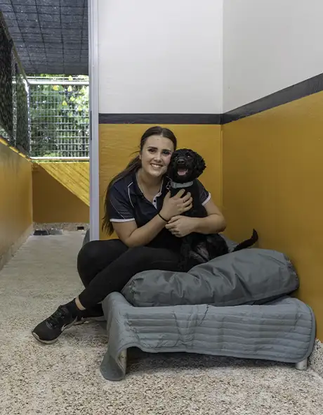 A pet nanny and dog rest in the private resort room at pet resorts australia townsville