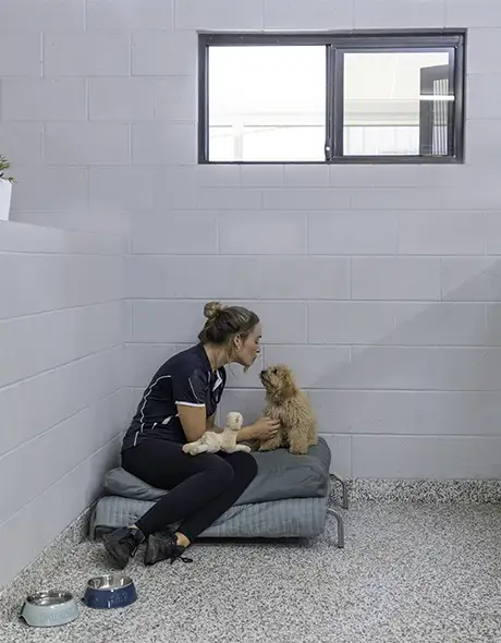 A small happy dog cuddling with a pet nanny in a private guest suite at Pet Resorts Australia Eumundi