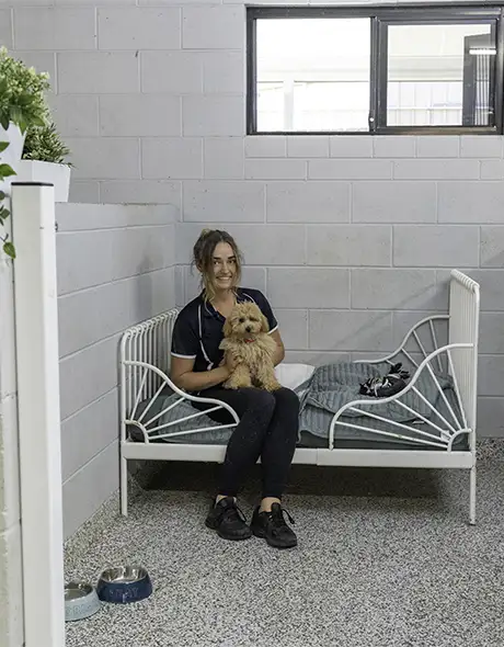 Pet attendant sitting with a small dog in the Resort Social Room at Pet Resorts Australia Eumundi, featuring a cosy daybed and indoor comforts