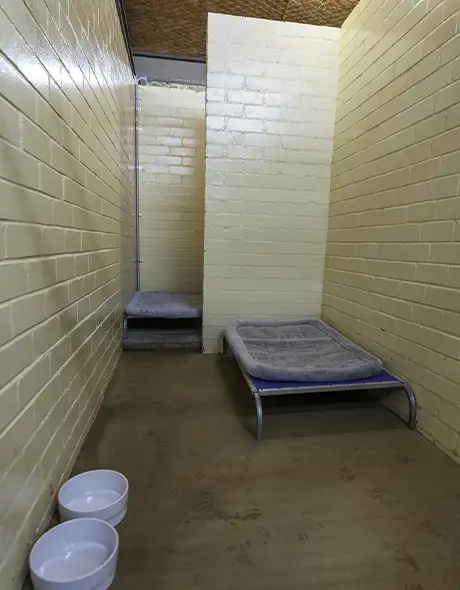 A clean Presidential Room designed for social dogs at Pet Resorts Australia Southern Highlands