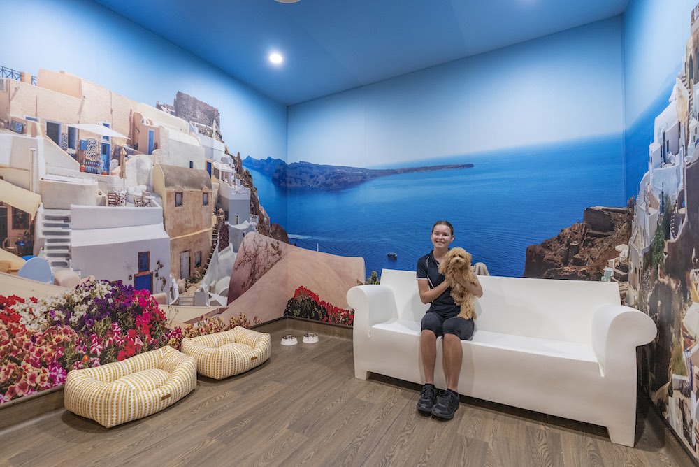 Dog Hotel