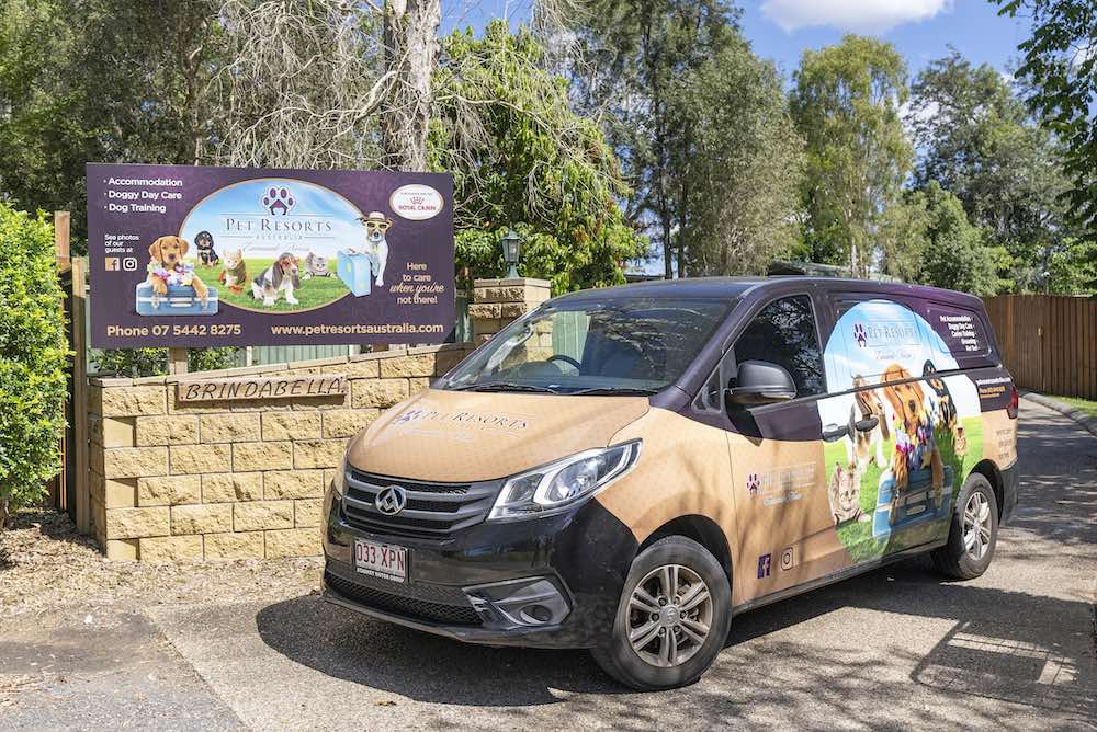 Pet Taxi