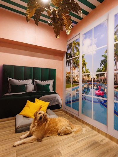 Pet Hotels Reimagined