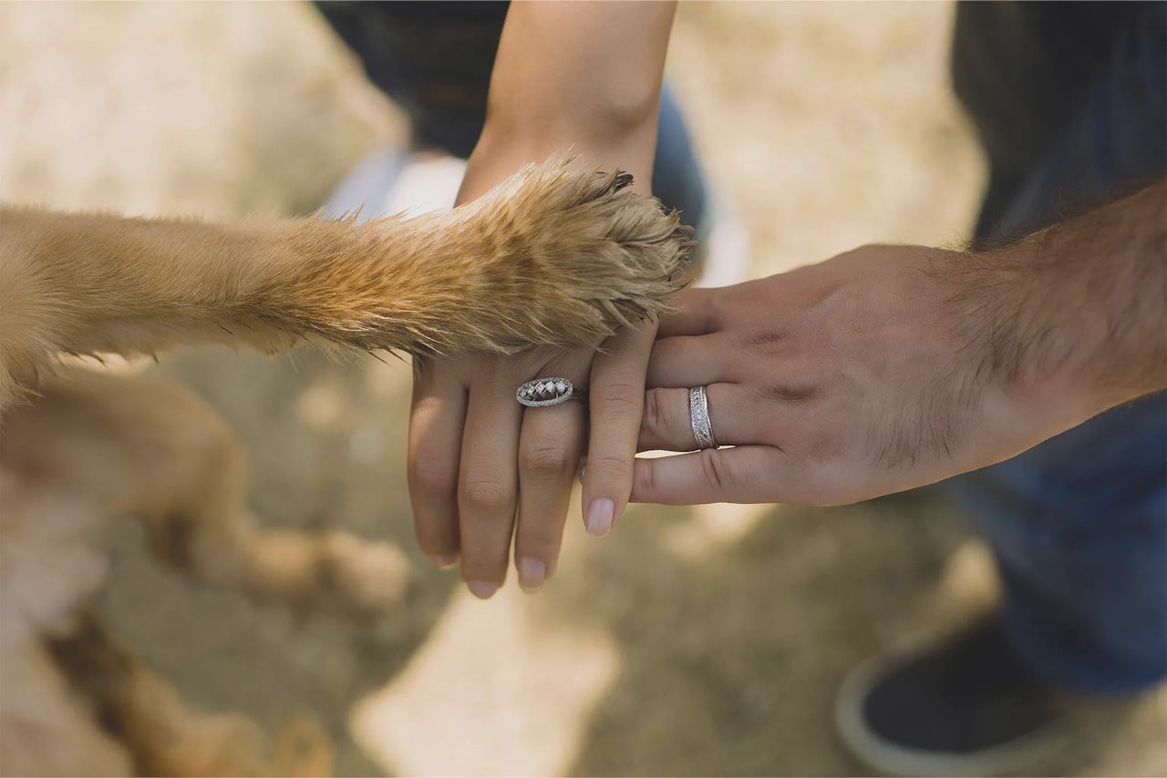 Your Wedding, With Your Dog By Your Side
