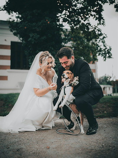 Have your dog at your wedding with support from Pet Resorts Australia
