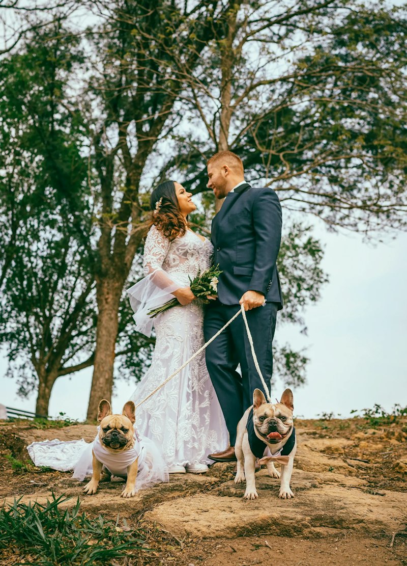 How Pet Weddings Work