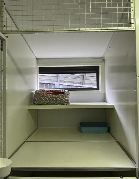 The cat guest suite at Welcome Kennels and Cattery showing two story living and large window letting in natural light